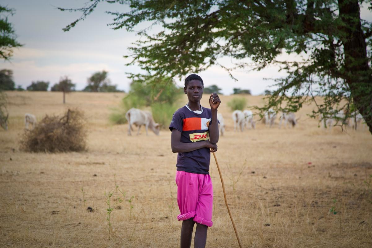 A young man surrounded by animals in West Africa